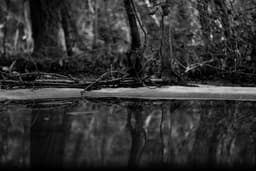 Echoneo-1-2: Ancient Egyptian Concept depicted in Ancient Greek Style